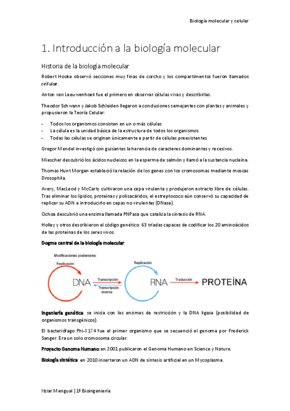 Miniatura del documento 01 Introducción a la biología molecular.pdf