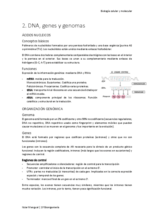 Miniatura del documento 02 DNA- genes y genomas.pdf