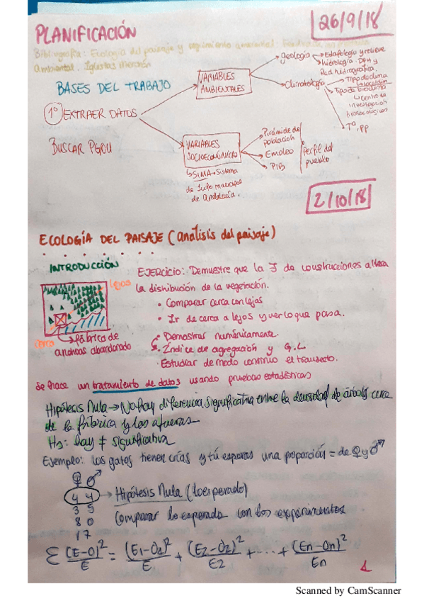 Miniatura del documento apuntes planificación.pdf