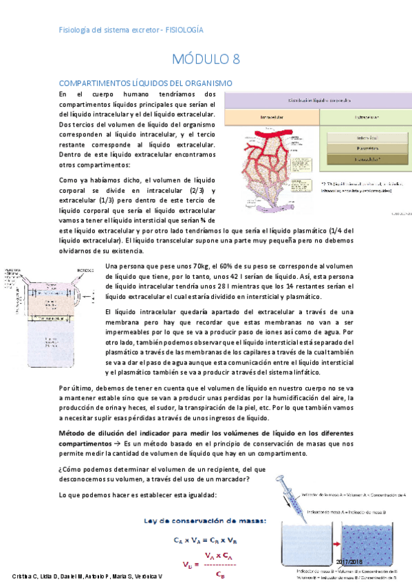 Miniatura del documento Apuntes Fisiología m8.pdf