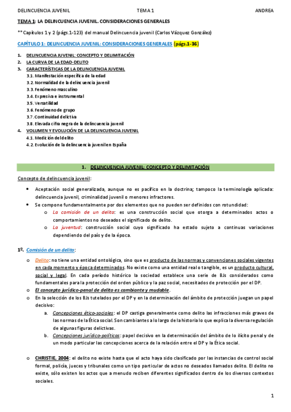 Miniatura del documento DELINCUENCIA JUVENIL_TEMA 1_ANDREA.pdf