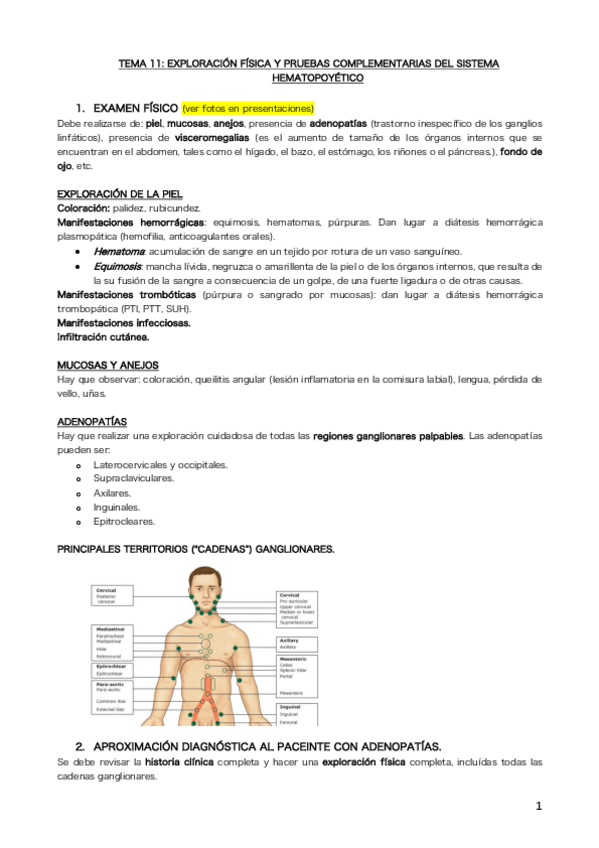 Miniatura del documento Tema 11.pdf