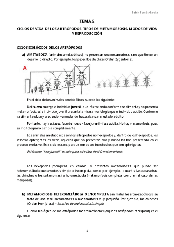 Miniatura del documento TEMA 5.pdf