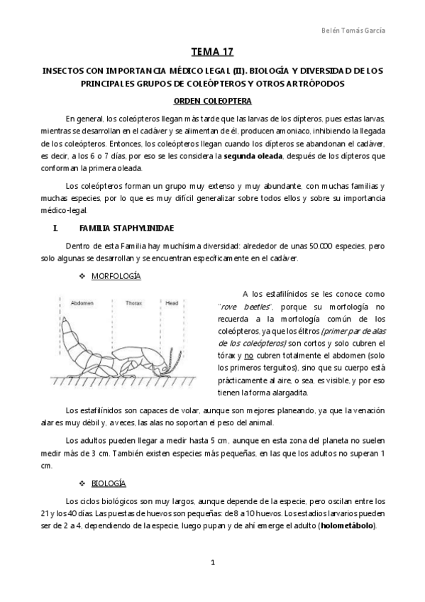 Miniatura del documento TEMA 17.pdf