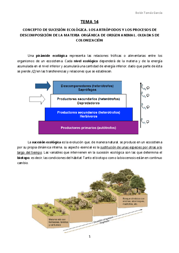Miniatura del documento TEMA 14.pdf