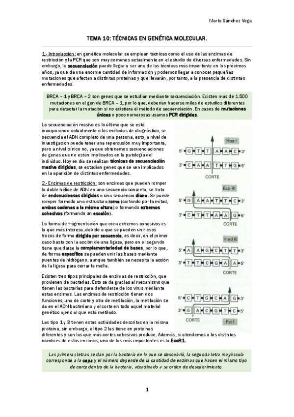 Miniatura del documento TEMA 10 TÉCNICAS EN GENÉTICA MOLECULAR.pdf
