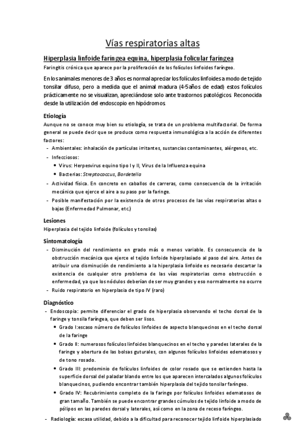 Miniatura del documento 2. Vías respiratorias altas.pdf