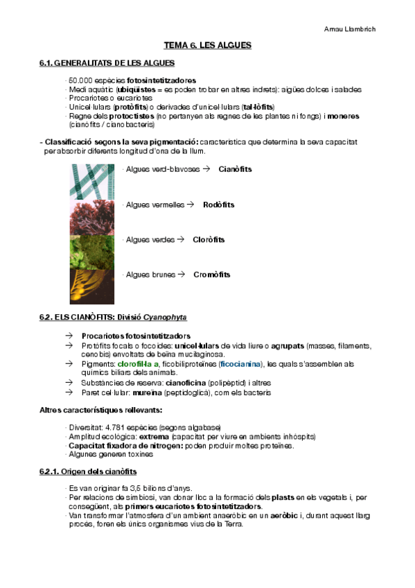 Miniatura del documento Apunts botànica farmacèutica (Tema 6).pdf