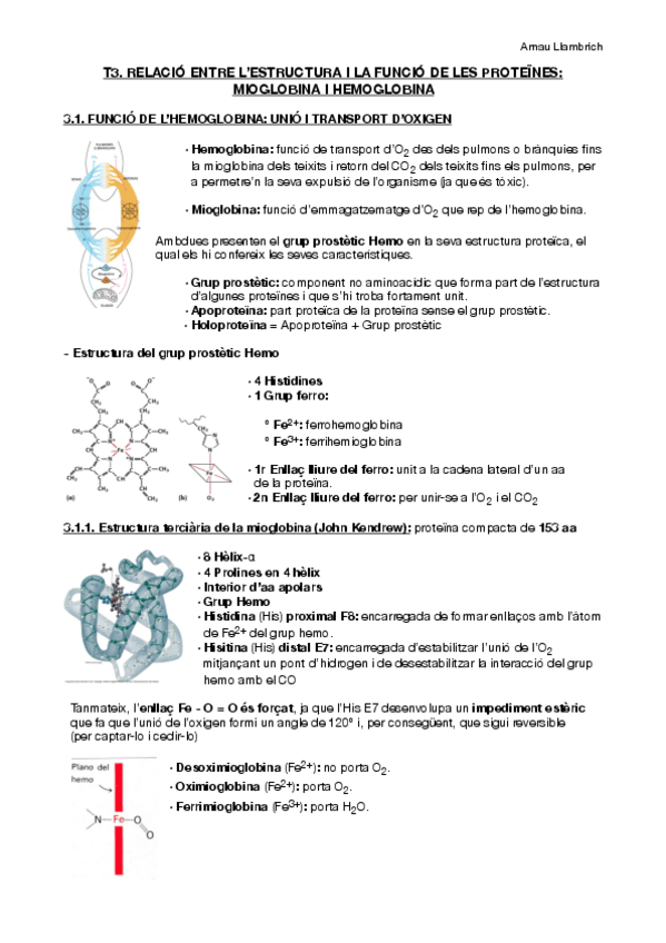 Miniatura del documento Apuns Bioquímica (Tema 3).pdf