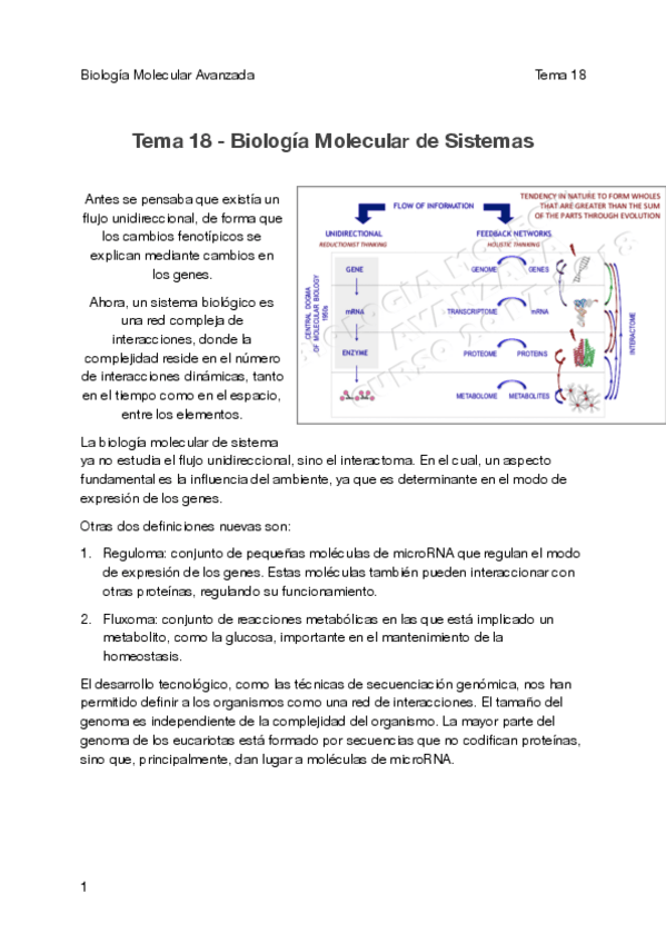 Miniatura del documento Tema 18-Biología Molecular de Sistemas.pdf