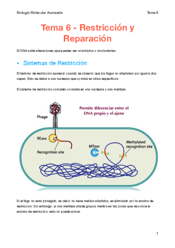 Miniatura del documento Tema 6-Restricción y Reparación.pdf
