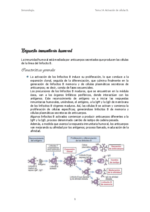 Miniatura del documento Tema 14.pdf