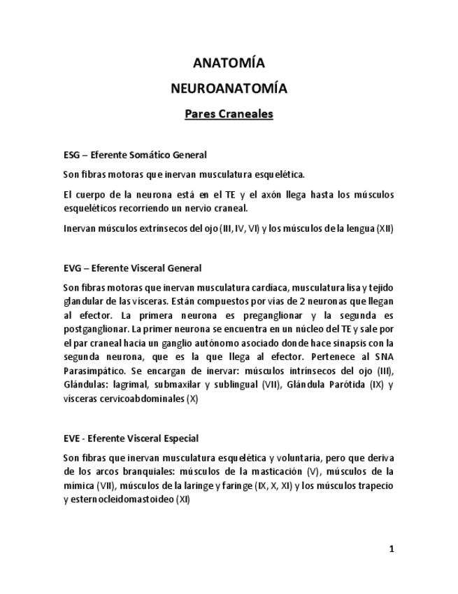 Miniatura del documento PARES CRANEALES RESUMEN.pdf