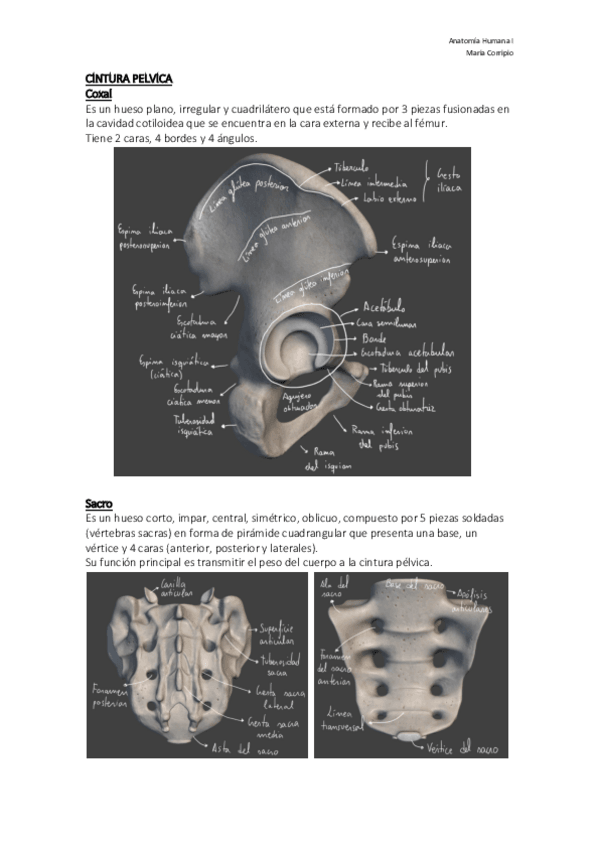 Miniatura del documento EEII.pdf