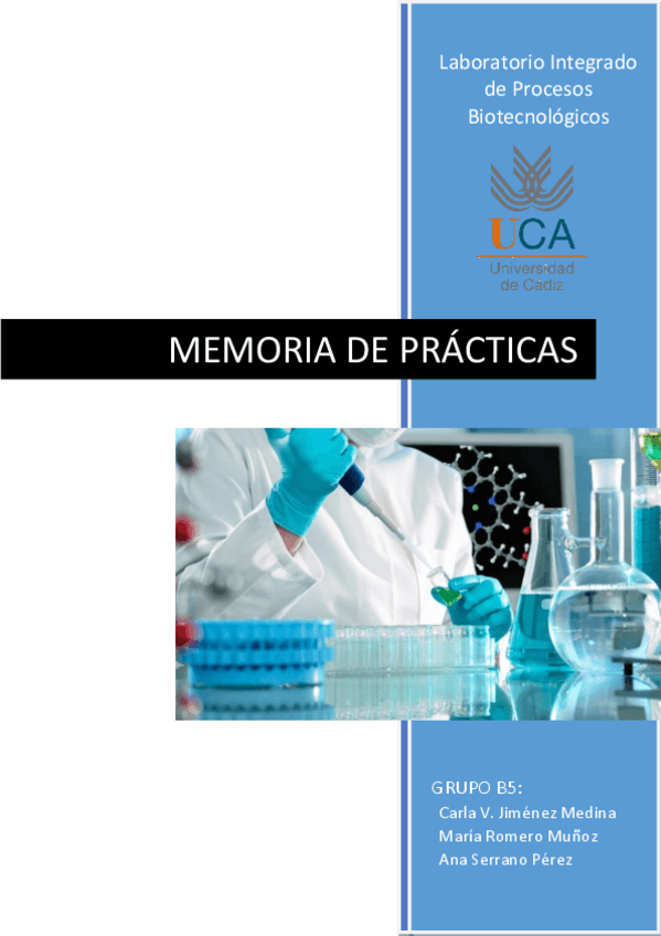 Miniatura del documento MEMORIA DEFINITIVA LIPROC.pdf