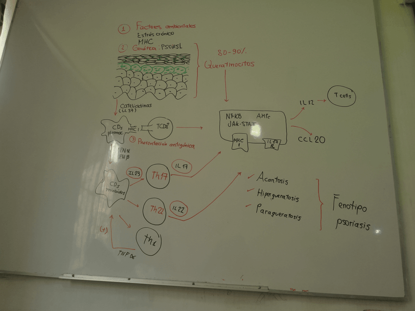 Miniatura del documento IMG_20190129_125323.jpg