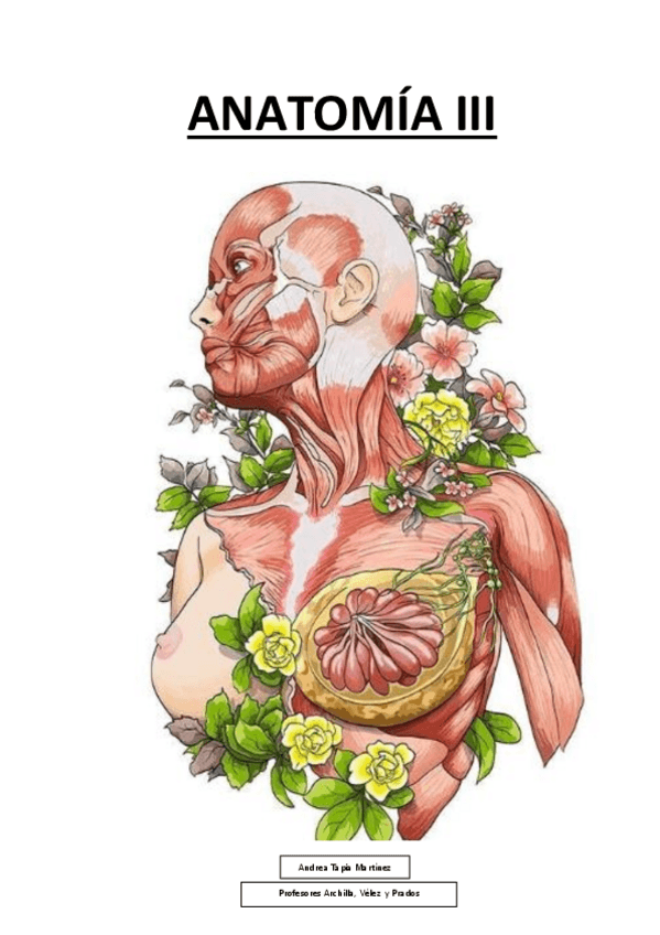 Miniatura del documento ANATOMIA III.pdf