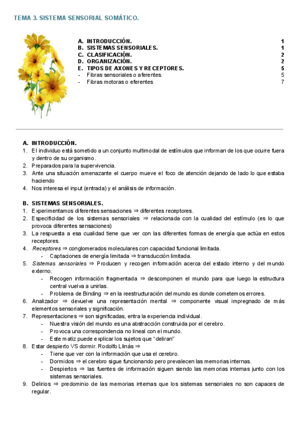 Miniatura del documento TEMA 3. SISTEMA SENSORIAL SOMATICO..pdf