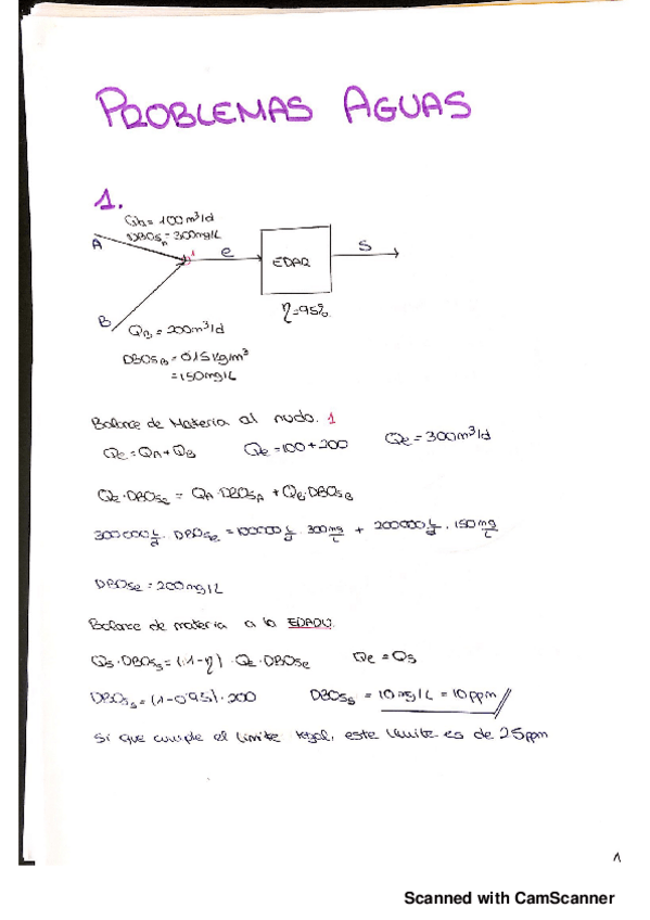 Miniatura del documento problemas Aguas.pdf