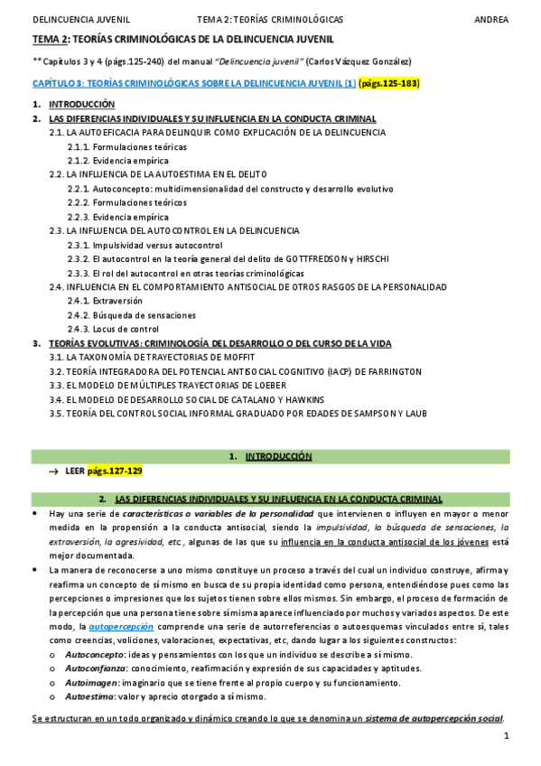 Miniatura del documento DELINCUENCIA JUVENIL_TEMA 2_ANDREA.pdf