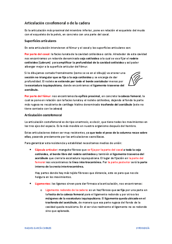 Miniatura del documento Articulacion coxofemoral o de la cadera.pdf