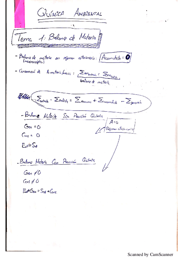 Miniatura del documento apuntes 1ª parte quimica ambiental.pdf