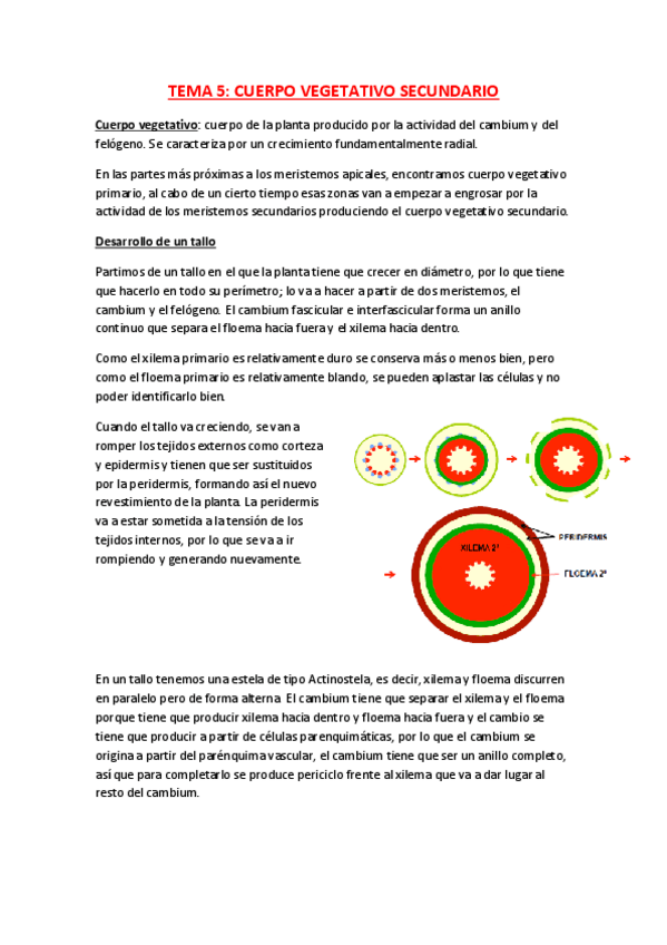 Miniatura del documento TEMA 5.pdf