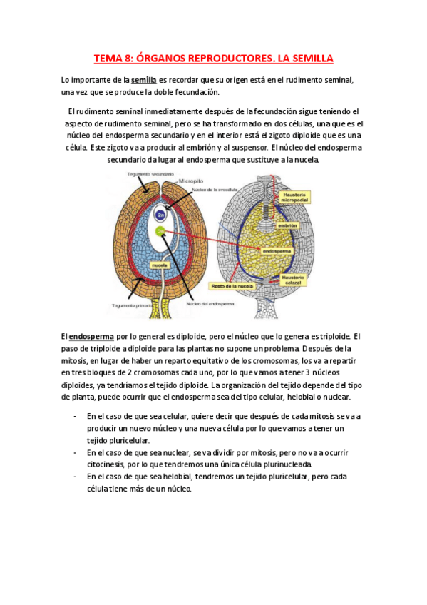 Miniatura del documento TEMA 8.pdf