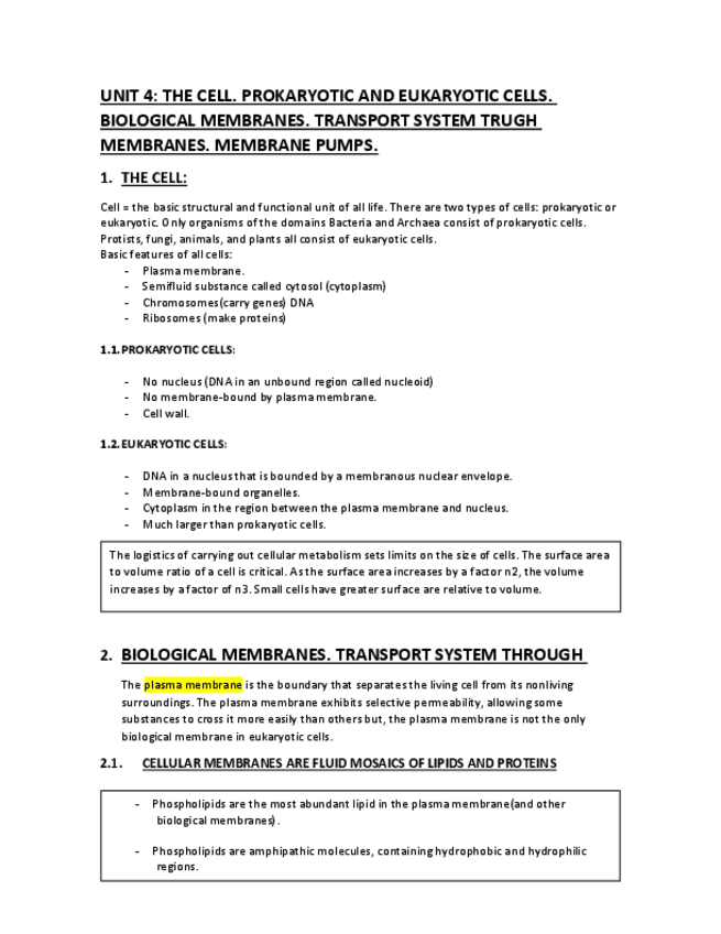 Miniatura del documento UNIT 4.pdf