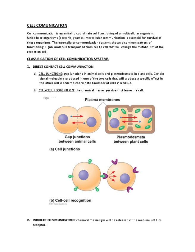 Miniatura del documento UNIT 7.pdf