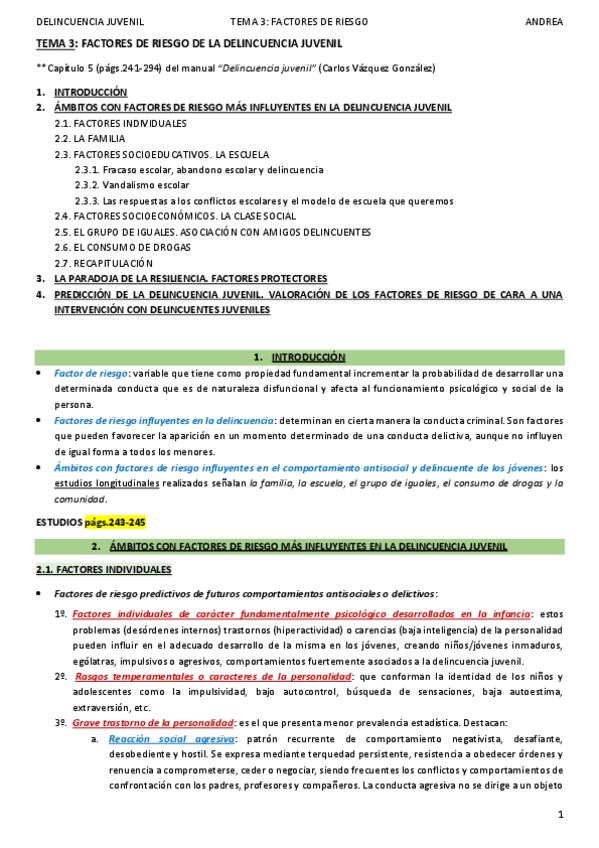 Miniatura del documento DELINCUENCIA JUVENIL_TEMA 3_ANDREA.pdf