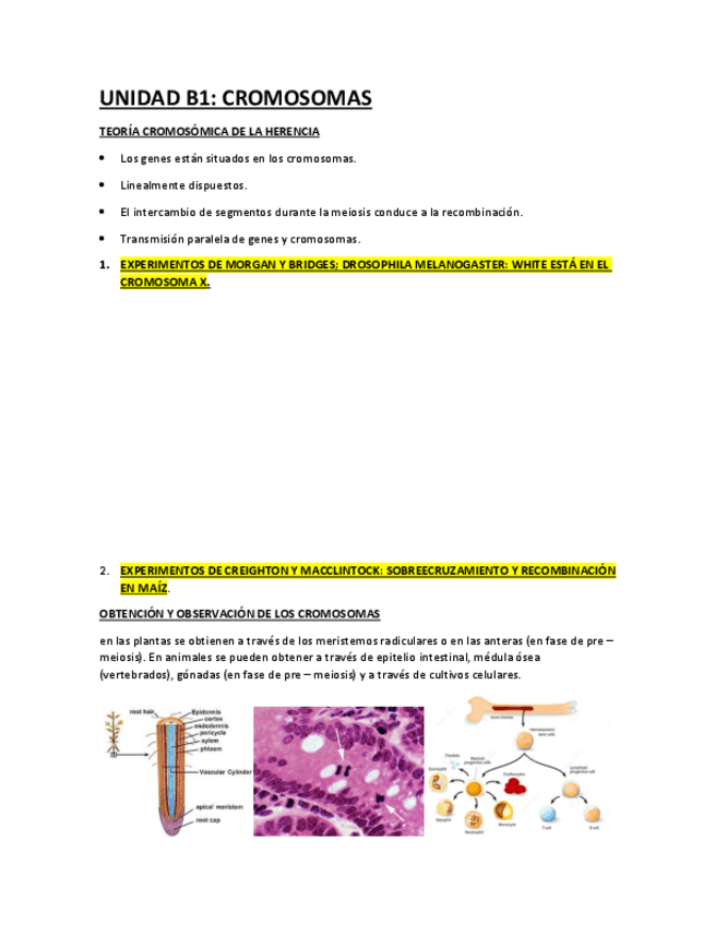 Miniatura del documento UNIDAD B1.pdf