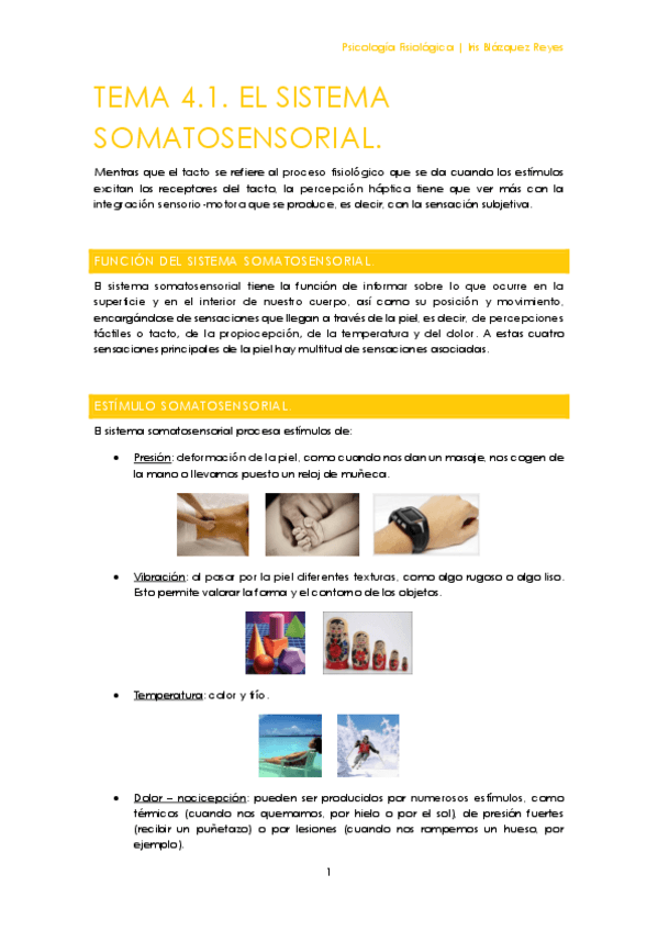 Miniatura del documento TEMA 4.1. EL SISTEMA SOMATOSENSORIAL.pdf