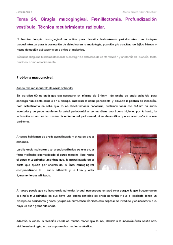 Miniatura del documento PERIO 24..pdf