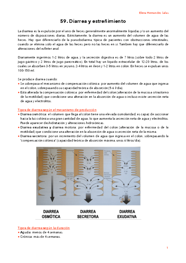 Miniatura del documento 59. Diarrea y estreñimiento.pdf