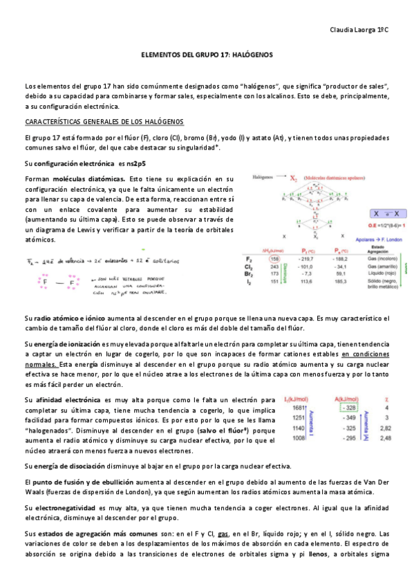 Miniatura del documento ELEMENTOS DEL GRUPO 17.pdf