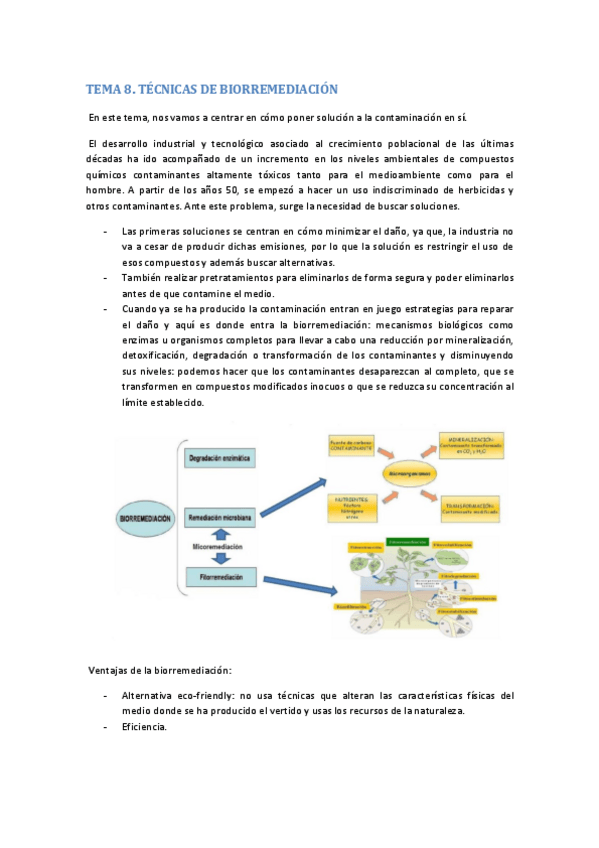 Miniatura del documento TEMA 8.pdf