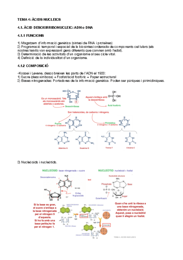 Miniatura del documento TEMA 4.pdf