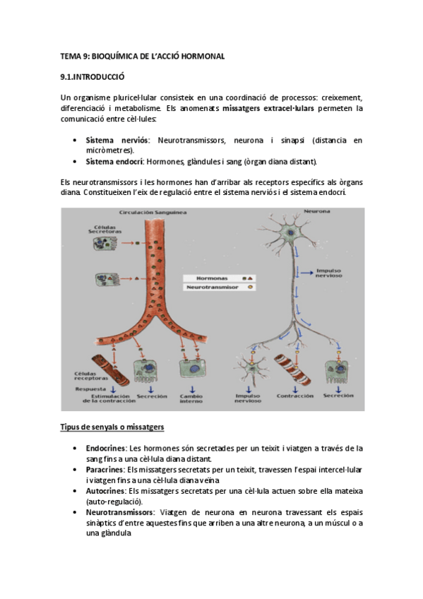Miniatura del documento TEMA 9.pdf