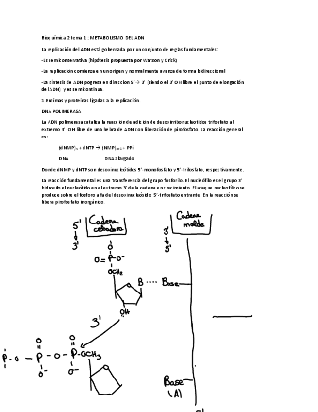 Miniatura del documento TEMA1BQ.pdf
