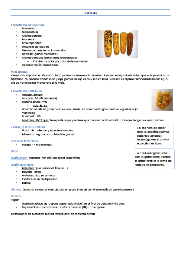 Miniatura del documento TEMA 7 CEREALES.pdf