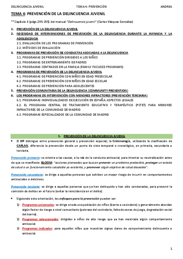 Miniatura del documento DELINCUENCIA JUVENIL_TEMA 4_ANDREA.pdf