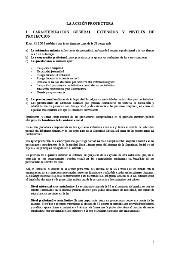 Miniatura del documento LA ACCIÓN PROTECTORA.pdf