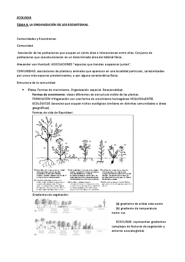 Miniatura del documento tema9.pdf