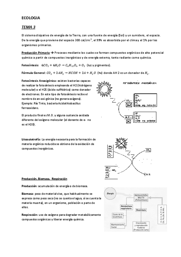 Miniatura del documento TEMA3(1).pdf