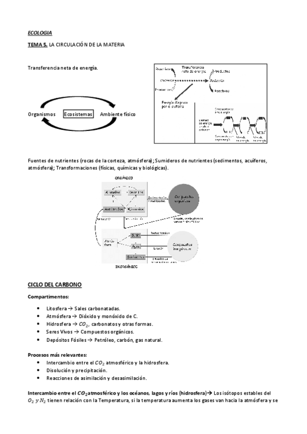 Miniatura del documento TEMA5.pdf