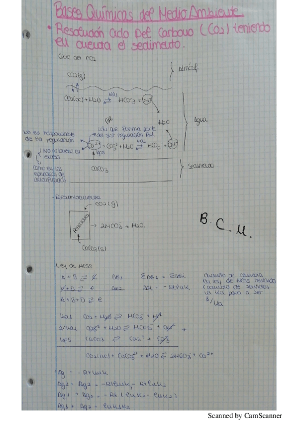 Miniatura del documento ejercicios de bases químicas.pdf