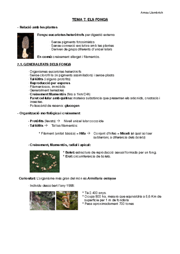 Miniatura del documento Apunts botànica farmacèutica (Tema 7).pdf
