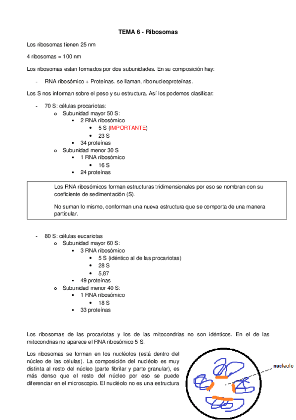 Miniatura del documento TEMA 6_Ribosomas.pdf