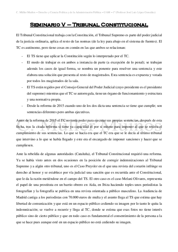 Miniatura del documento Seminario V - Tribunal Constitucional.pdf
